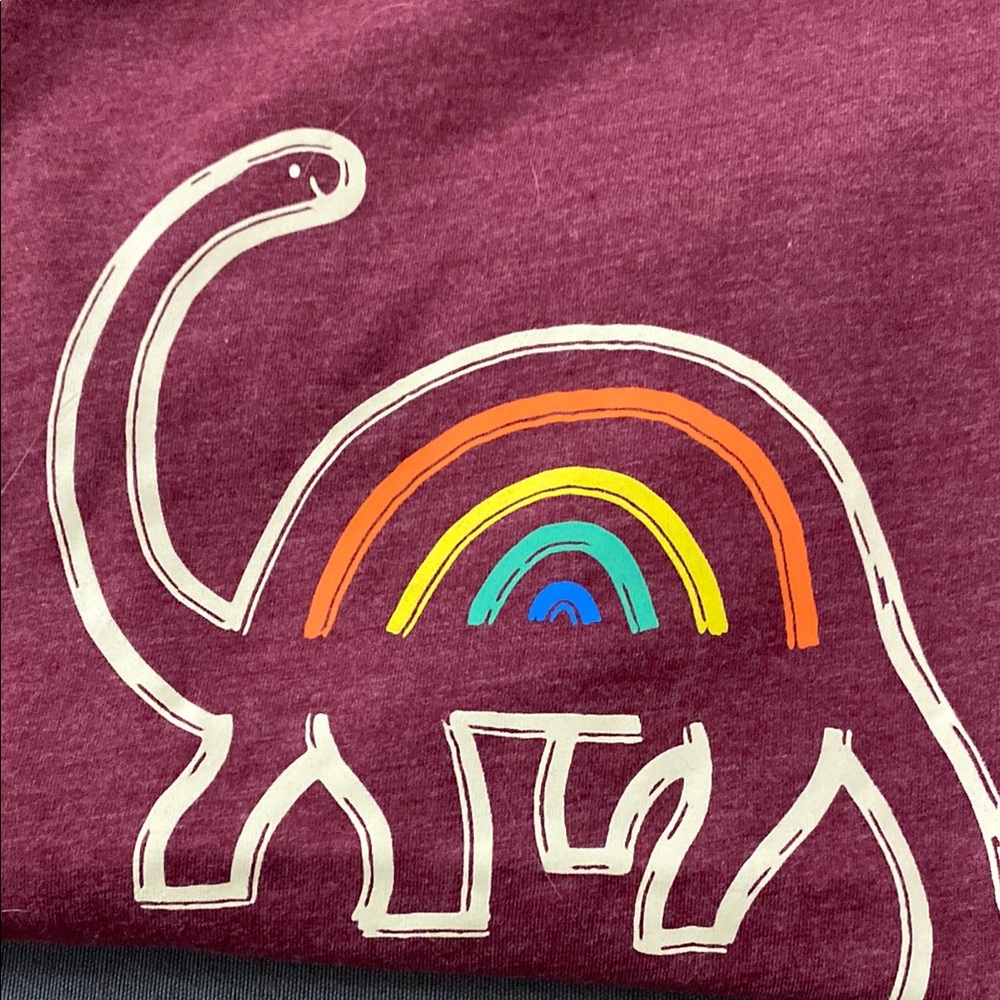 Cat & Jack Kids Dinosaur T-Shirts - Red & Blue size 12/14 - Picture 2 of 3